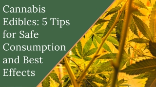 Cannabis Edibles: 5 Tips for Safe Consumption and Best Effects