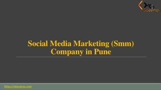 Social Media Marketing (Smm) Company in Pune