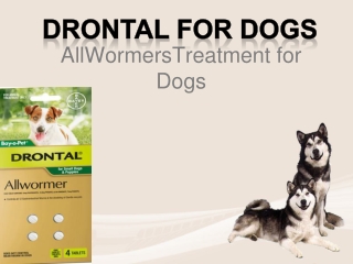 Buy Drontal Allwormer For Dogs Chewable Tablets Online Australia