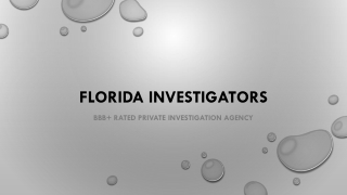 Professional Private Investigator Palm Beach County FL