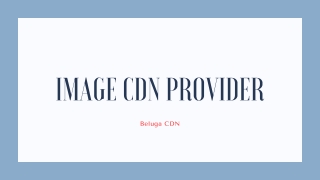 Image CDN Provider