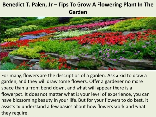 Benedict T. Palen, Jr – Tips To Grow A Flowering Plant In The Garden