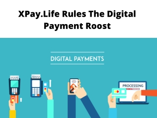 XPay.Life Rules The Digital Payment Roost