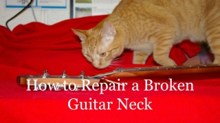 How to Repair a Broken Guitar Neck