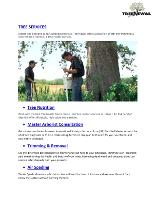 Dallas Tree Trimming & Arborist Services I Argyle & Southlake I TreeNewal