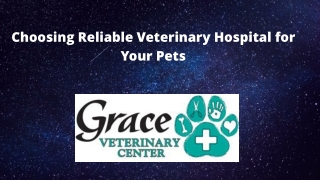 Choosing Reliable Veterinary Hospital for Your Pets