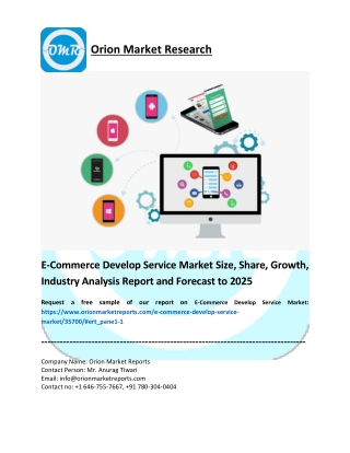 E-Commerce Develop Service Market.pdf