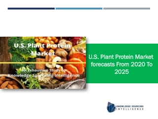 U.S. Plant Protein Market Research Report- Forecasts From 2020 To 2025