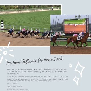 Per Head BSS: Per Head Software for Horse Track