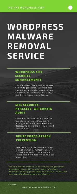 WordPress Malware Removal USA | WordPress Malware Removal Service