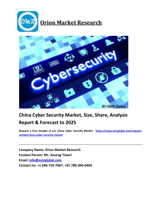 China Cyber Security Market Growth, Size, Share, Industry Report and Forecast 2019-2025
