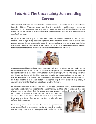 Pets And The Uncertainty Surrounding Corona