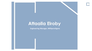 Attaalla Elroby - Experienced Engineering Manager