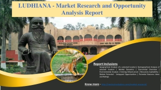 LUDHIANA - Market Research and Opportunity Analysis Report