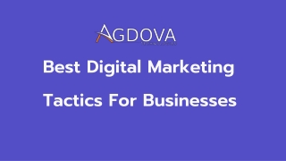 Leading Digital Marketing Company in Noida – Agdova Technologies