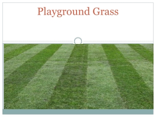 Playground Grass Dubai