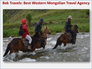 Back To Bek Travel - Best Western Mongolian Travel Agency