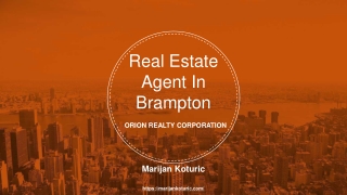 Real Estate Agent In Brampton, Marijan Koturic