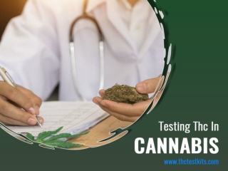 Buy Testing Thc In Cannabis and check its potency