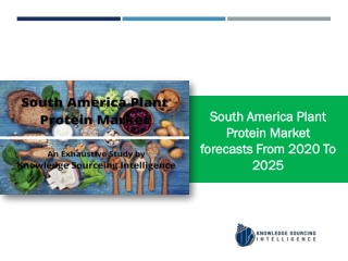 South America plant protein market to grow at a CAGR of 7.98%  (2020-2025)