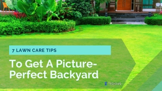 7 Lawn Care Tips To Get A Picture-Perfect Backyard!