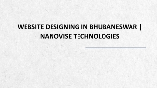 Bhubaneswar Best Website Designing Company | Nanovise Technologies