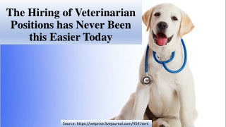 The Hiring of Veterinarian Positions has Never Been this Easier Today