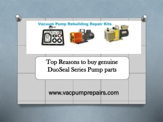 Top Reasons to buy genuine DuoSeal Series Pump parts