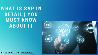 What Is SAP In Detail | You Must Know About It