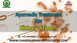 What is the Ayurvedic Treatment For Kidney Stones?