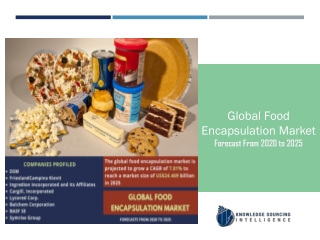 Global Food Encapsulation Market to be Worth US$24.469 billion by 2025