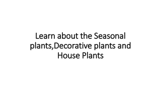 Learn about the Seasonal plants,Decorative plants and House Plants