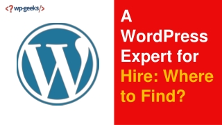 A WordPress Expert for Hire: Where to Find?