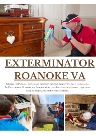 Exterminator Roanoke VA | Killinger Pest Solutions