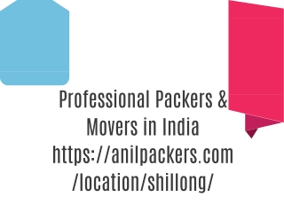 Professional Packers & Movers in Shillong