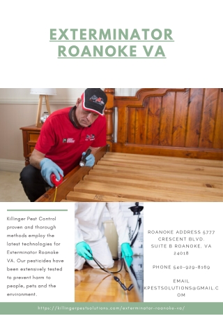 Exterminator Roanoke VA | Killinger Pest Solutions