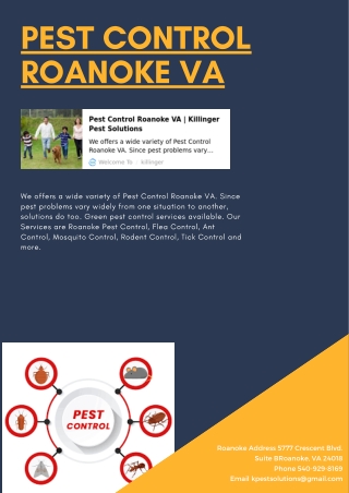 Pest Control Roanoke VA | Killinger Pest Solutions