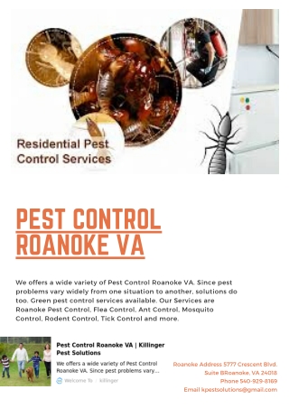 Pest Control Roanoke VA | Killinger Pest Solutions