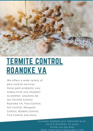 Termite Control Roanoke VA | Killinger Pest Solutions