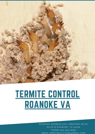 Termite Control Roanoke VA | Killinger Pest Solutions