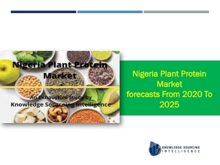 Nigeria Plant Protein Market Research Report- Forecasts From 2020 To 2025