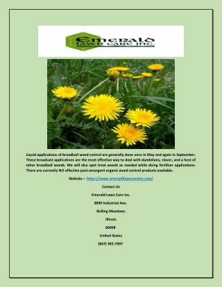Emerald Lawn Care Service within Your Budget -(emeraldlawncareinc)