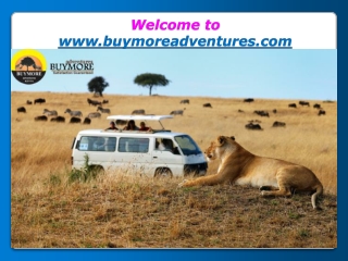 Budget Kenya Safari-Enjoying the Versatility of a Serene Atmosphere