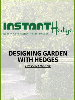 Designing Garden with Hedges | InstantHedge