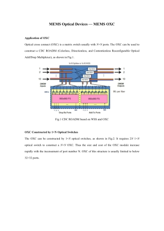 MEMS Optical Devices — MEMS OXC