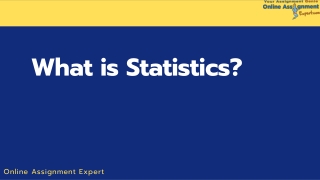 Statistics Assignment Help by Professional Expert Writers