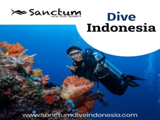 Dive Indonesia