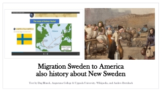 Migration Sweden to America