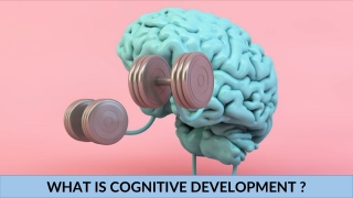 What is Cognitive Development ?