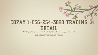 1(856) 254-3098 Copay Support Number